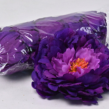 Peony D18cm Purple