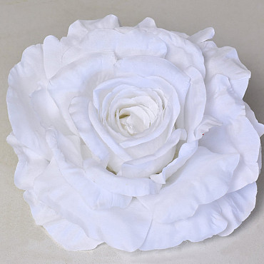 Rose D15cm Weiß