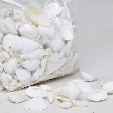 Sac de coquillages 1kg Mélange Blanc