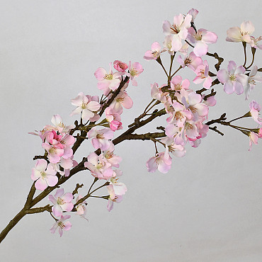 Apple Blossom 104cm Pink