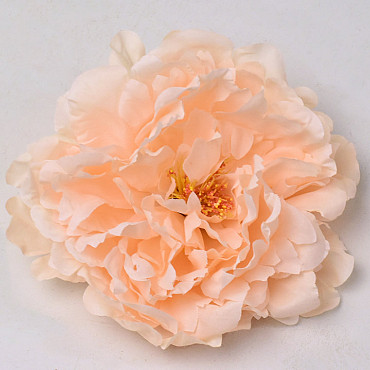 Pivoine Pêche D18cm