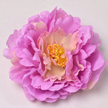 Peony Pink D18cm