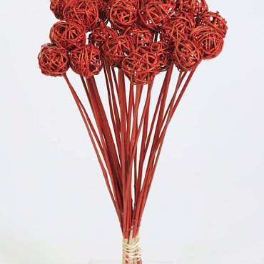 Brunch Ball auf 50cm Stiel rot