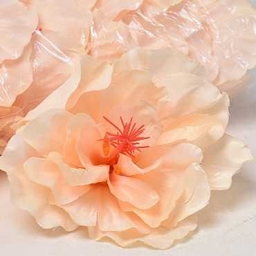 Hibiscus D14cm Peach