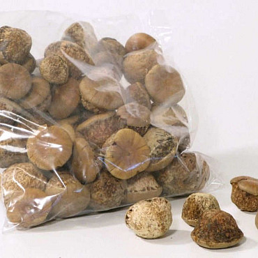 Bloempaddestoel 3-4cm 500gr.