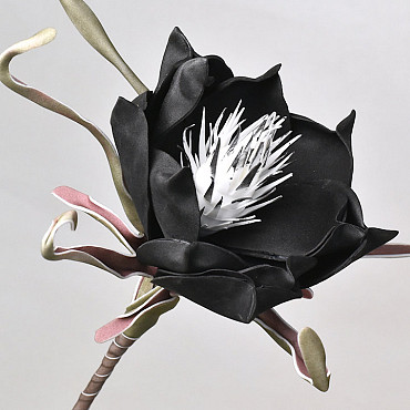 Blume Schaumstoff Schwarz, D 20cm