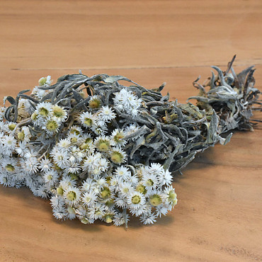 Edelweiss, Anaphalis 25cm