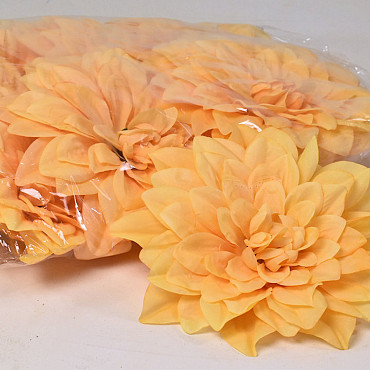 Dahlia Pêche D20cm