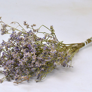 Limonium 40cm Lila