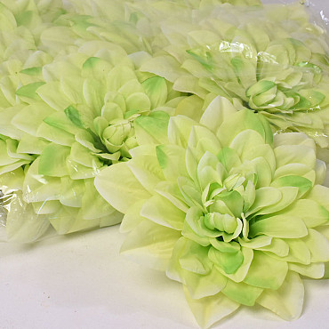 Dahlia Light Green D20cm