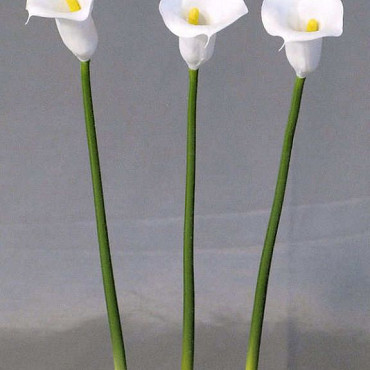 Calla 55cm blanc