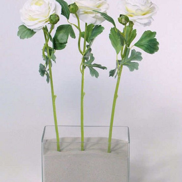 Ranonkel 43cm wit