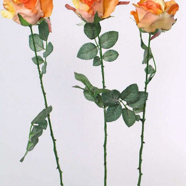 Rose demi-ouvert 84cm orange