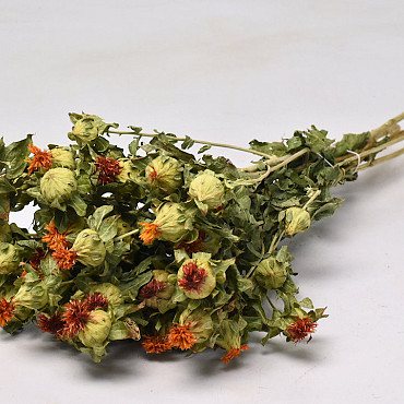 Bouquet Carthamus 65cm
