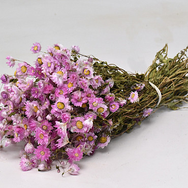 Bouquet Rhodante Rose 30cm