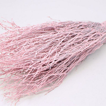 Birch pink-wash 60cm 50pcs