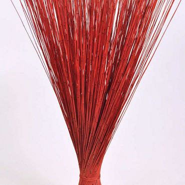 Bouquet Reed Cane Rouge 75cm
