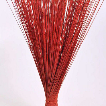 Reed Cane Red 75cm