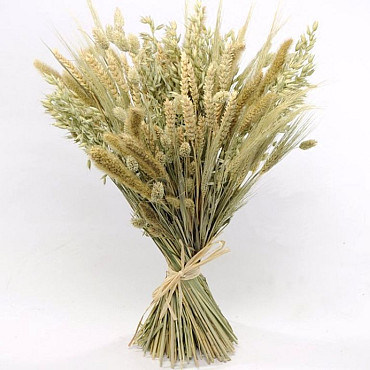 Dried Grass Bouquet 50cm