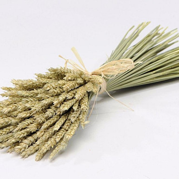 Dried Bouquet Wheat 45cm Flat