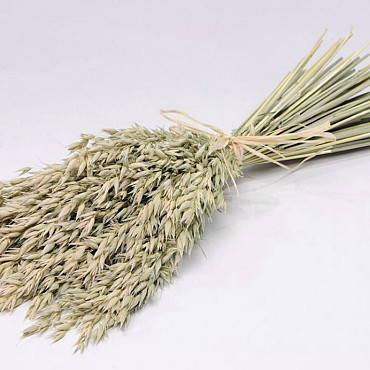 Dried Bouquet Oats 45cm Flat