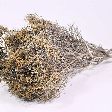 Bijennest 30-50cm