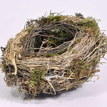 Bloempot Vogelnest 20cm