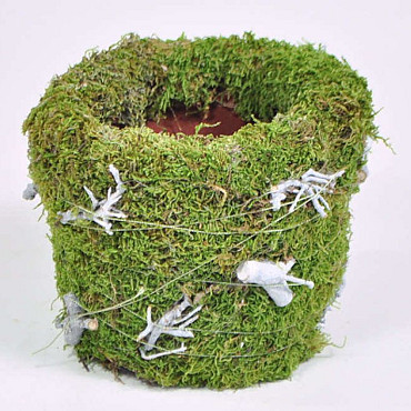 Flower Pot Green Moss 12cm