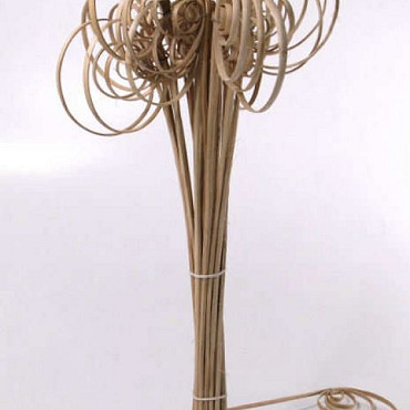 Cane Coil 55cm