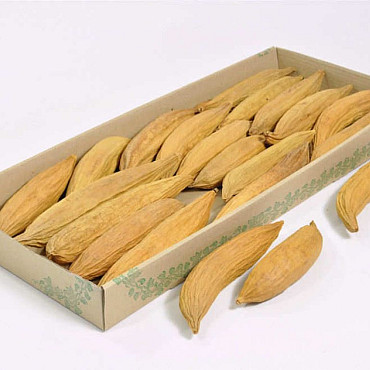 Kapok 20-25cm 18-Pack