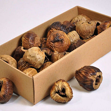 Talami 6-8cm 25-Pack