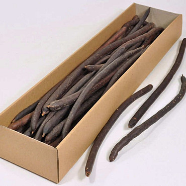 Cassia Fistula 40-55cm 25-Pack
