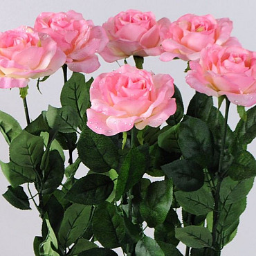Rose Chute 70cm ultra rose