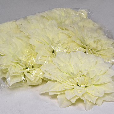 Dahlia D20cm Cream