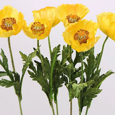 Poppy Flower 60cm yellow