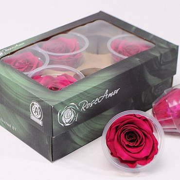 Rose Heads 6cm fuchsia pink