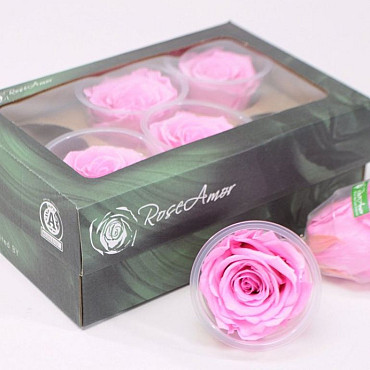 Rosenköpfe 6cm Leicht Rosa