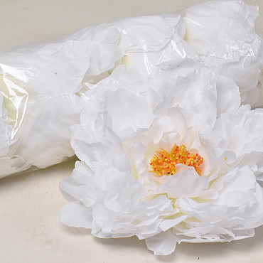 Peony White D18cm