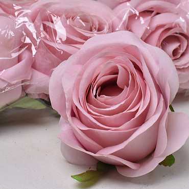 Rose Pink D9cm