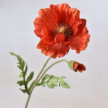 Coquelicot 65cm Rouge