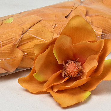 Magnolia D17cm Oranje