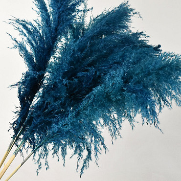 Pampas gras 110cm Blauw