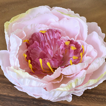 Pivoine Rose D16cm