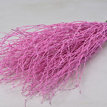 Birch Pink 50-pack