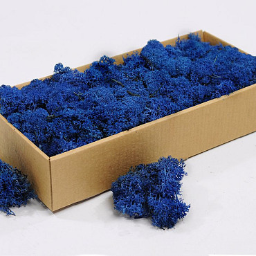 Reindeer Moss Blue 500gr.