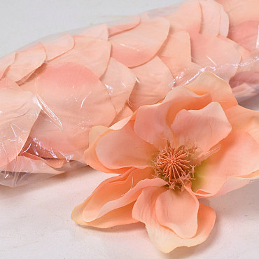 Magnolia D17cm Pink
