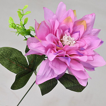 Dahlia D14cm Roze