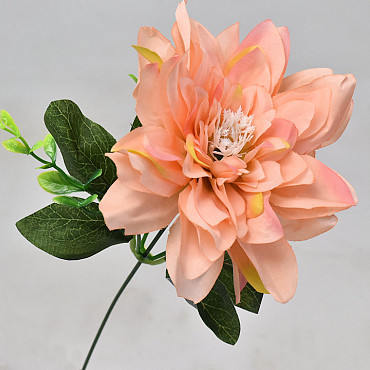 Dahlia D14cm Peach