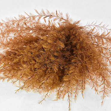 Air Fern Copper 15cm 5-Pack 