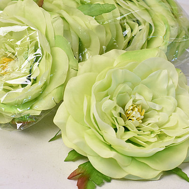 Peony D13cm Green